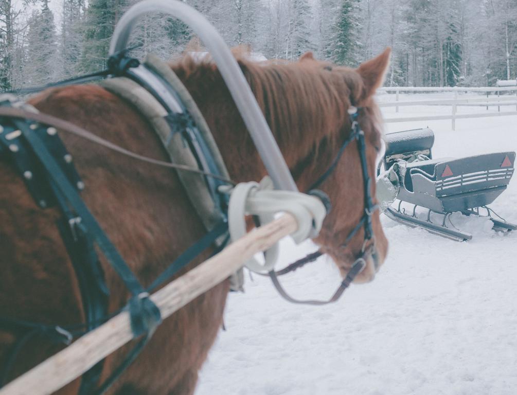 Villa Petaejaekylae Kuusamo Zimmer foto