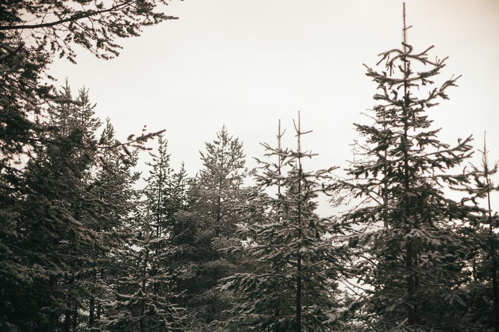 Villa Petaejaekylae Kuusamo Zimmer foto
